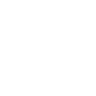 instagram-icon